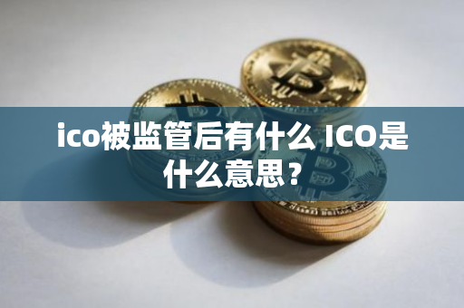 了解ICO（首次代币发行）的过程与风险：投资者应关注的关键问题_了解ICO（首次代币发行）的过程与风险：投资者应关注的关键问题_了解ICO（首次代币发行）的过程与风险：投资者应关注的关键问题