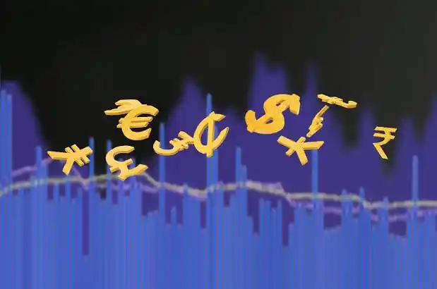 由DLS深入剖析全球经济一体化下国际市场汇率波动及应对策略