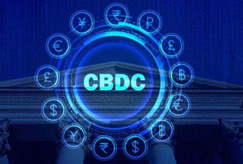 数字货币发展与支付工具创新：基于国际货币基金组织研究的分类解析